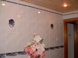 Ceramic Wall to Wall Bathroom_2